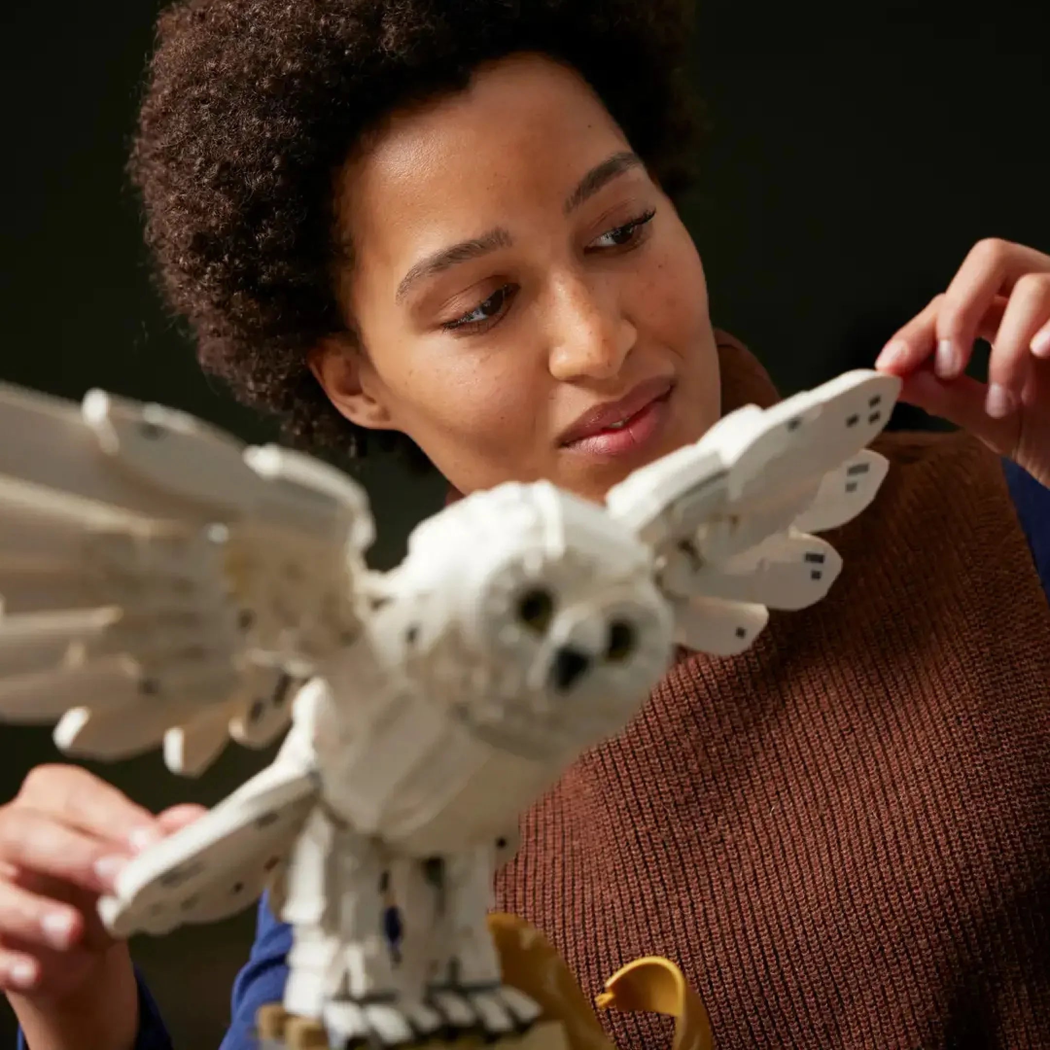 Iconos de Hogwarts (3010 piezas)