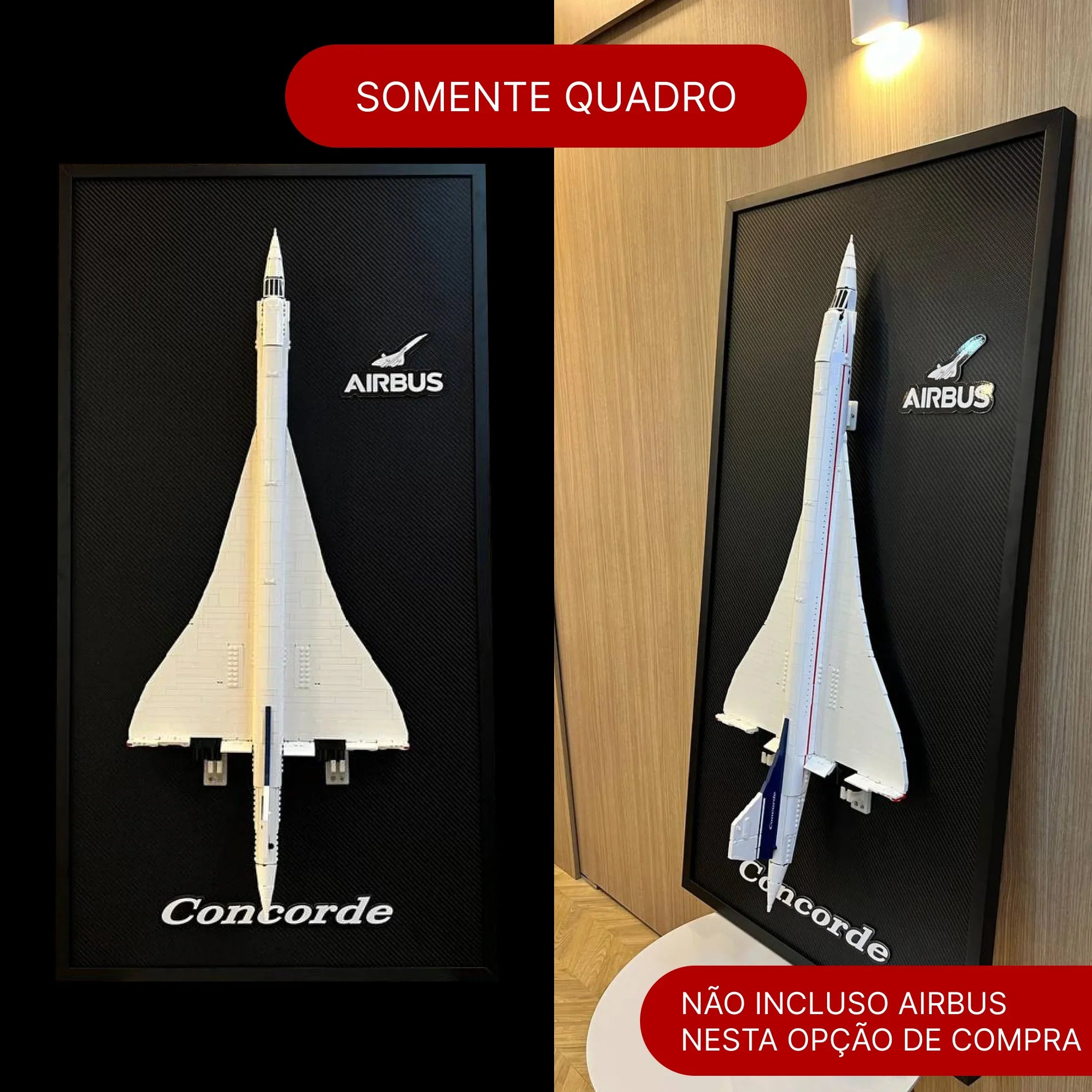 Cuadro de fibra de carbono - Concorde