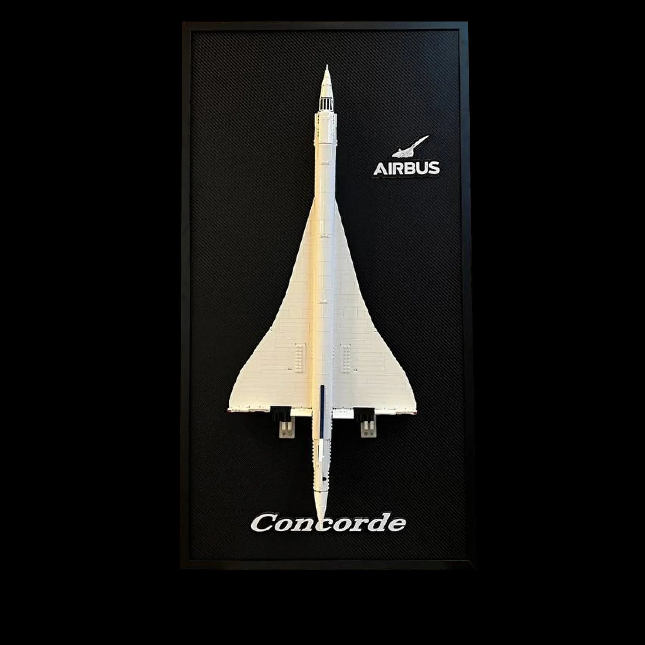 Cuadro de fibra de carbono - Concorde