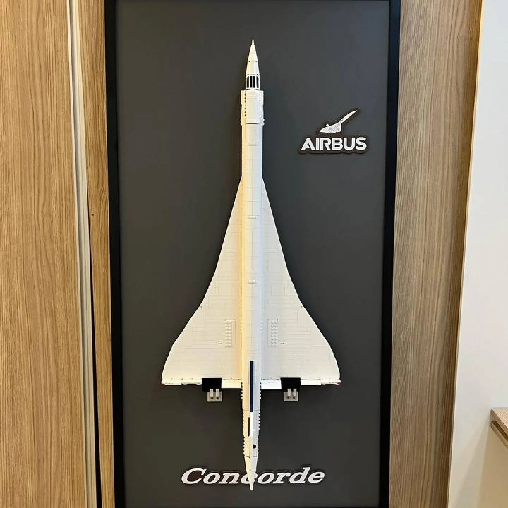 Cuadro de fibra de carbono - Concorde