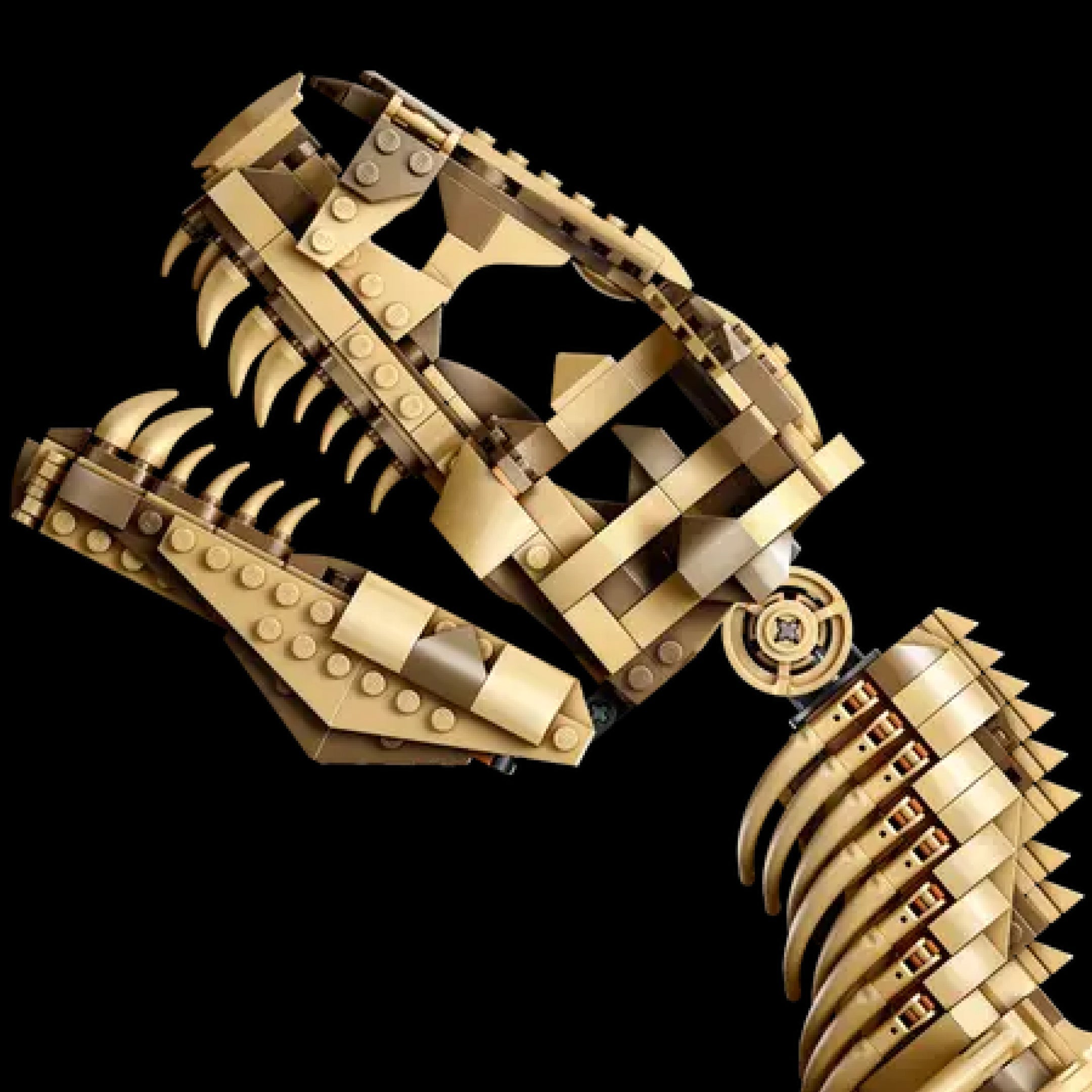 Fósil de Tiranosaurio Rex de Jurassic Park (3145 piezas)